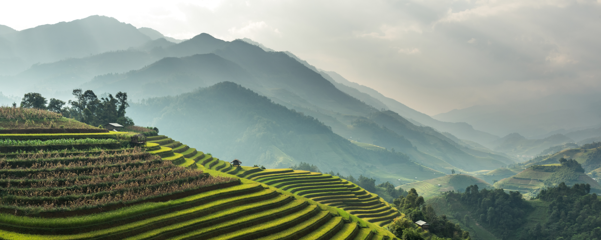 Farming on a hill with the beautiful landscape in the background