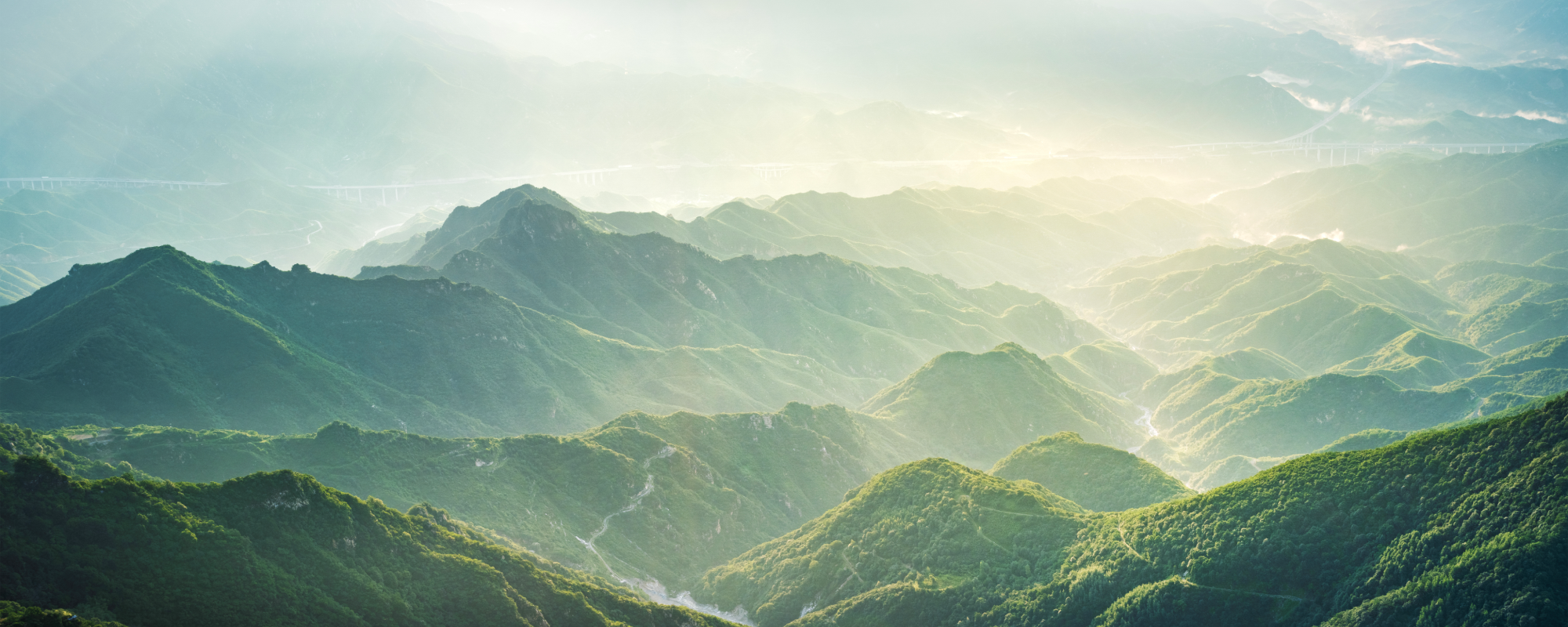 Lush green mountains