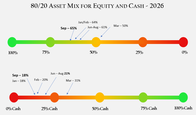 Asset Mix