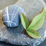 leaf and a smooth stone