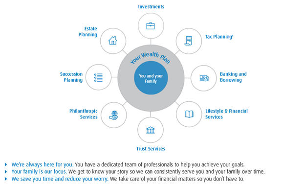 circle bubble chart of 'you and your family' surrounded by 'your wealth plan' with further bubbles breaking down aspects of wealth management