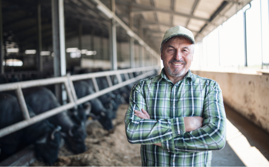 farmer in plaid shirt stands in front of a bunch of cows