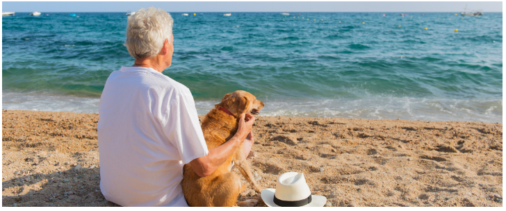 elderly person sitting on a beach with their dog