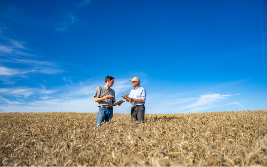 two man talking in a wheat field